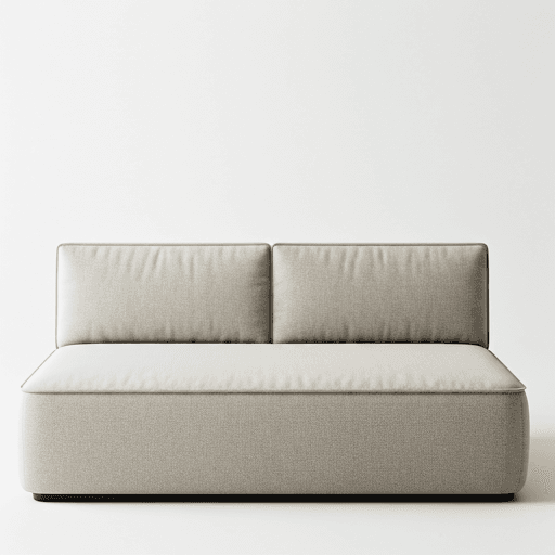 Professional sofa cleaning process